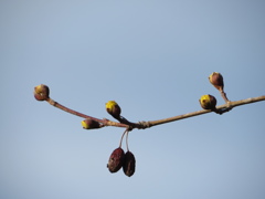 IMG_9577