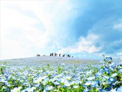 みんな幸せ(^^)