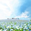 みんな幸せ(^^)