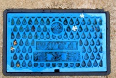 雨上がりに見つけた花