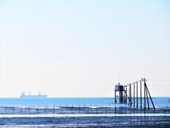 秋の東京湾