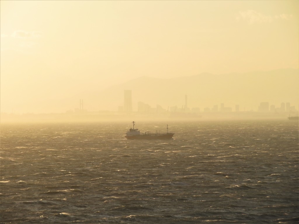 春一番がふいた東京湾３