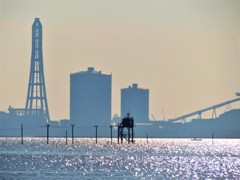 秋の東京湾