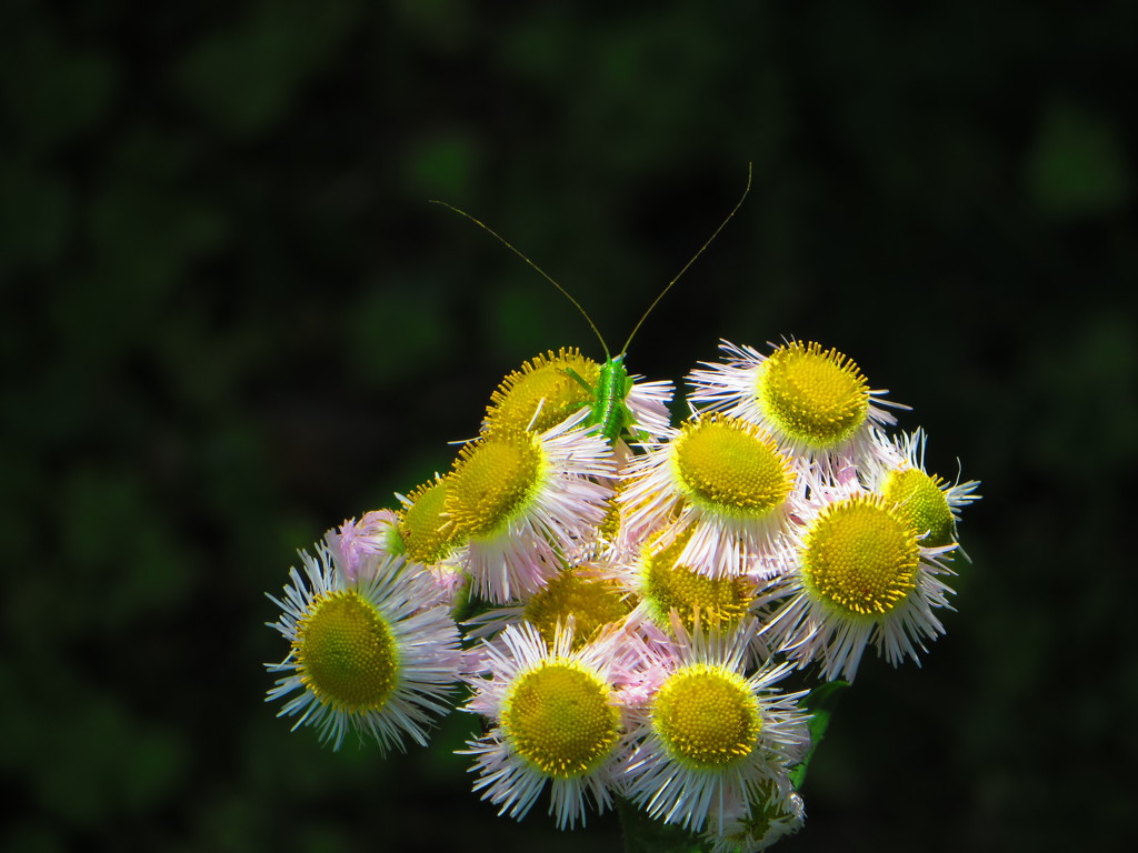 取って置きのステージ