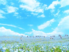 きっと素敵な世界が待っている(^^)