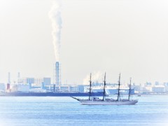 東京湾　帆船
