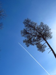 飛行機雲２