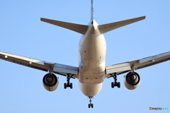 羽田空港