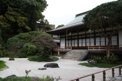 報国寺