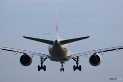 羽田空港