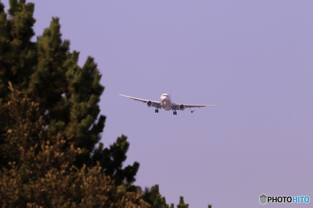 旅客機