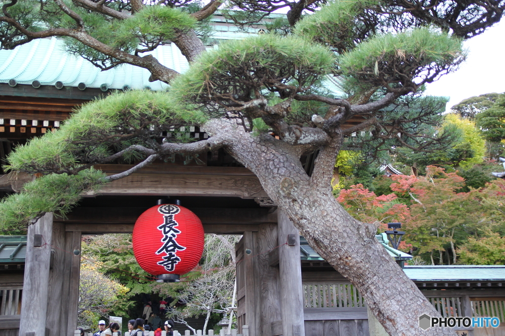 鎌倉長谷寺