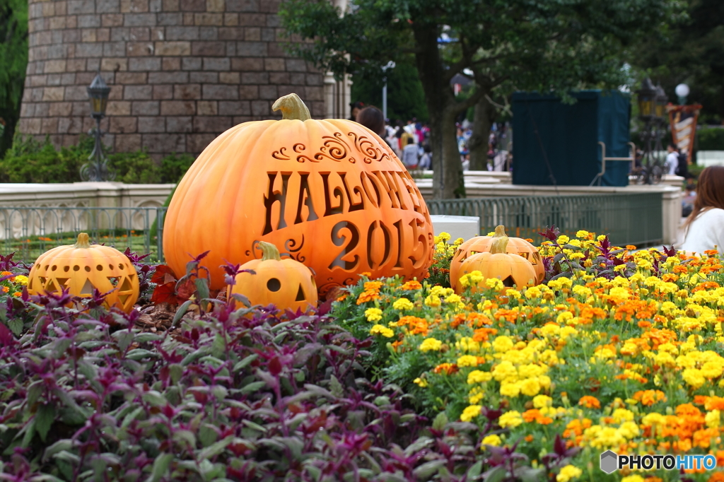 2015ディズニー･ハロウィーン