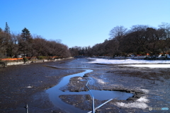 井の頭公園