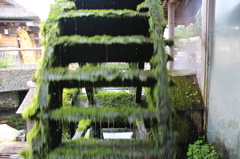 苔水車