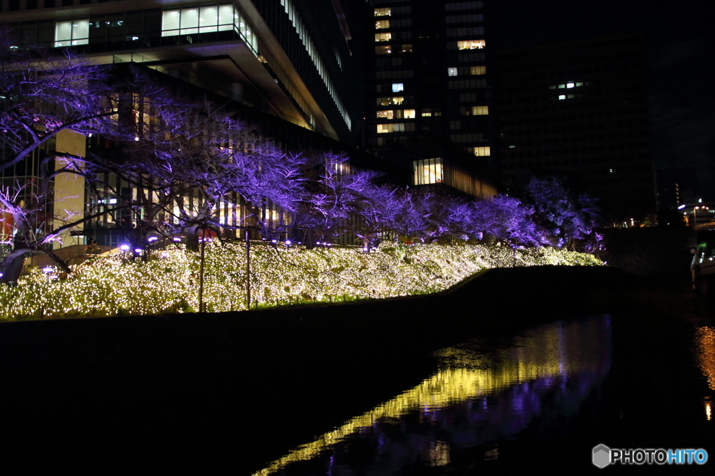 夜景