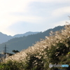 風景