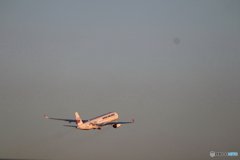 羽田空港