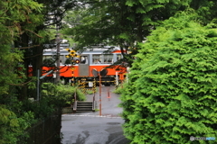 箱根彫刻の森美術館