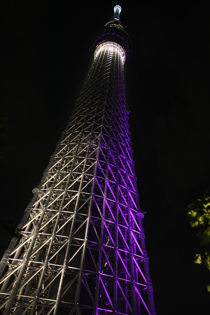 スカイツリー