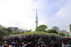 亀戸天神社