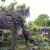 亀戸天神社
