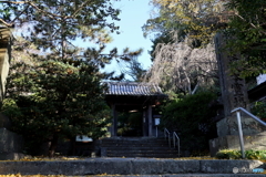 鎌倉散策