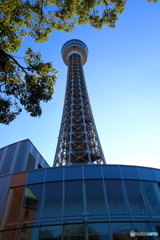 横浜マリンタワー　