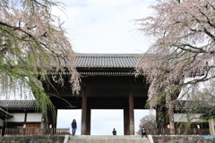 東郷寺