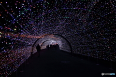 よみうりランド
