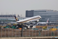 羽田空港