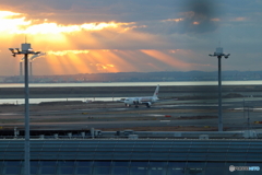 羽田空港