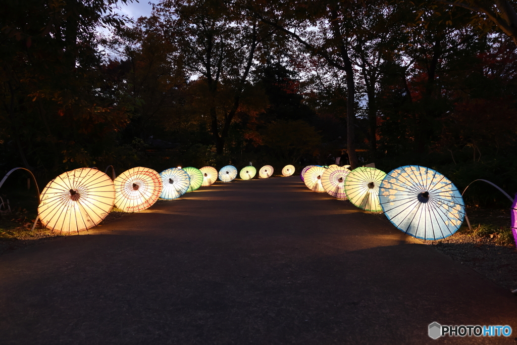 昭和記念公園