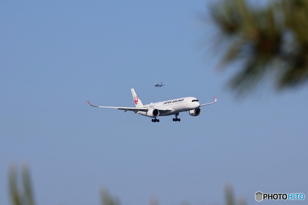 羽田空港