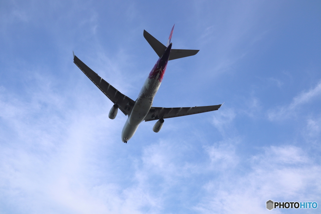 羽田空港