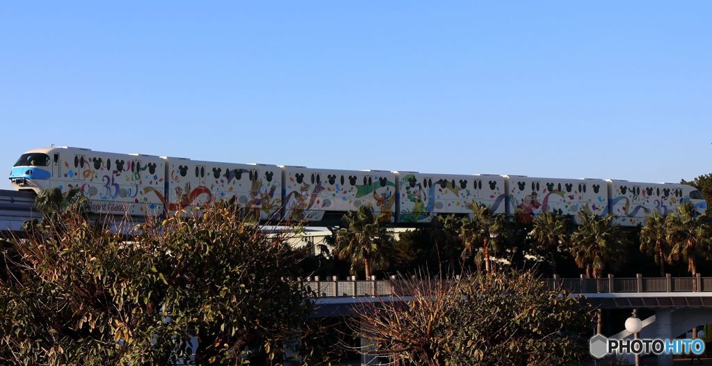 TDL
