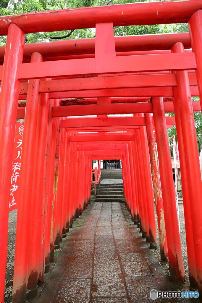 大宮氷川神社