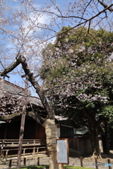 靖国神社