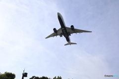 羽田空港