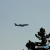旅客機