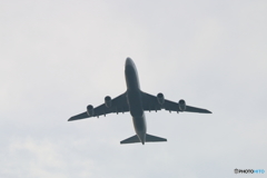 ジャンボ機