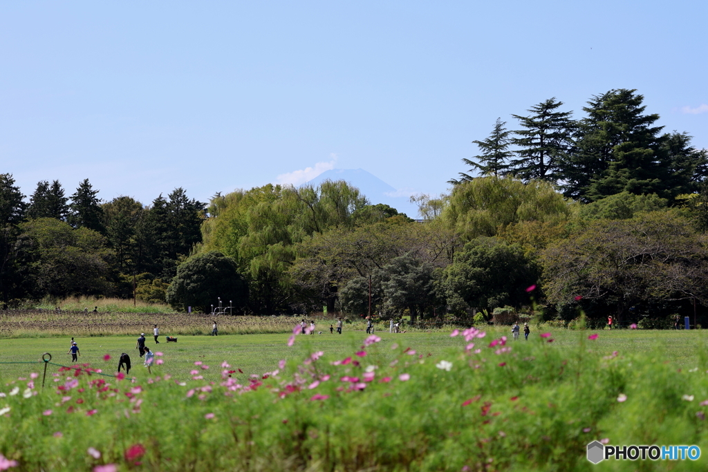 昭和記念公園