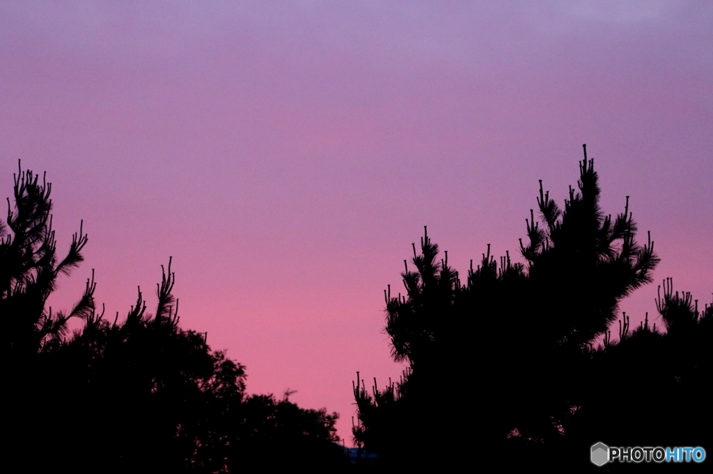 夕景