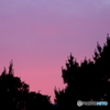 夕景