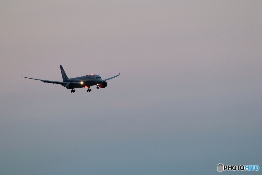 羽田空港