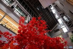 街並み