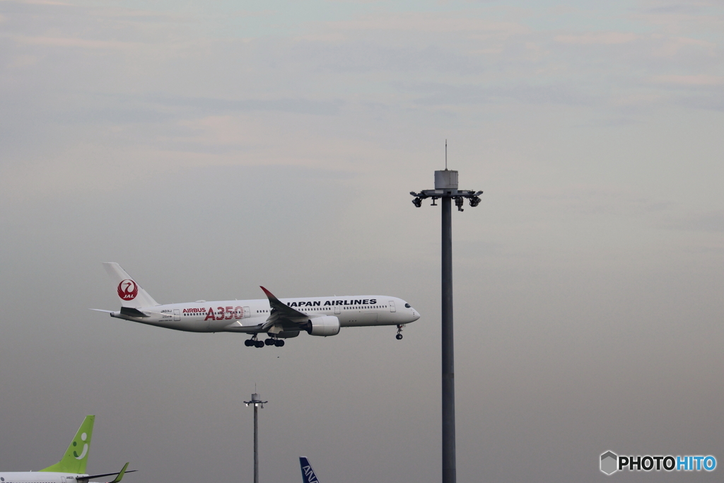 羽田空港