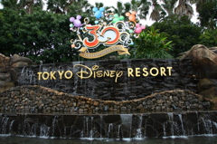 TOKYO DISNEY RESORT