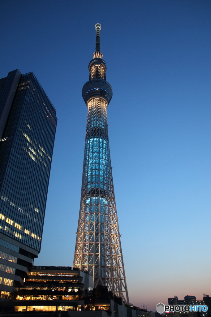 スカイツリー