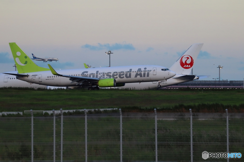 羽田空港